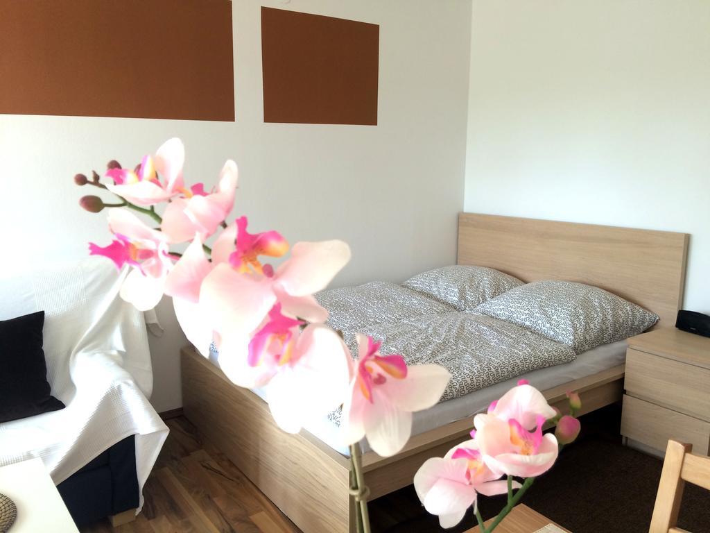 Apartment Sunshine Ρέγκενσμπουργκ Δωμάτιο φωτογραφία